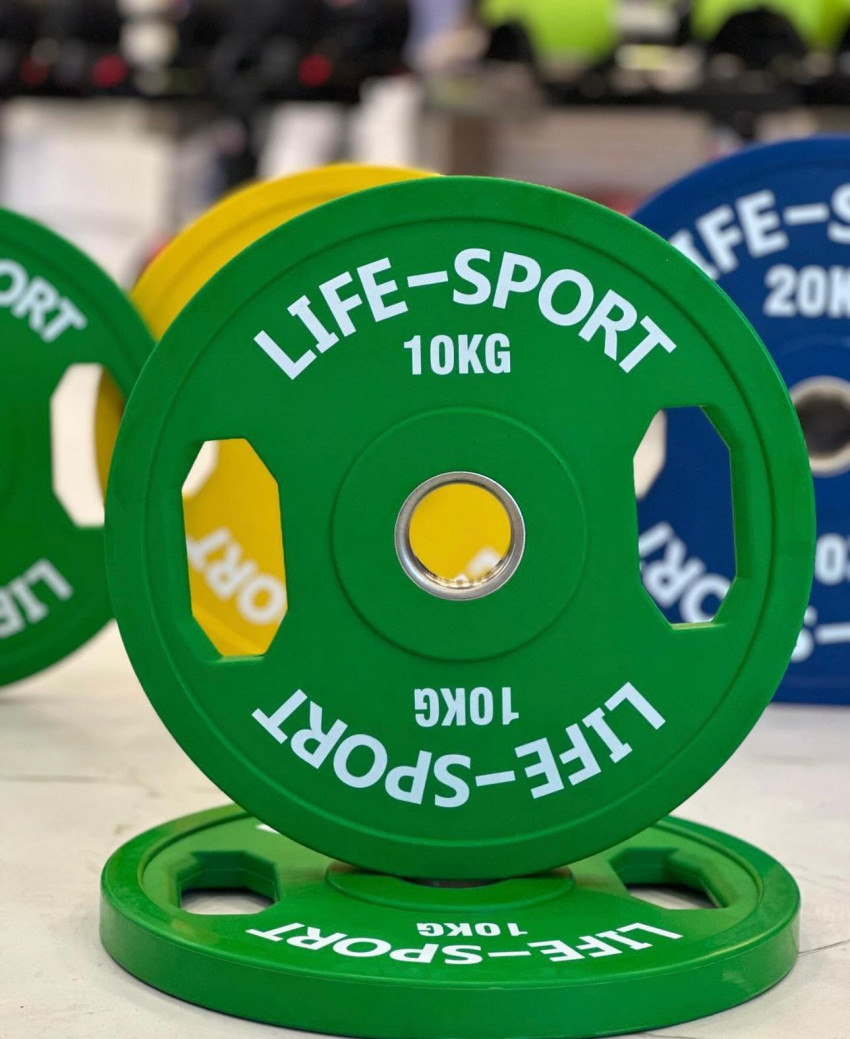 Life Sport hand grip çəki daşı 10 kg